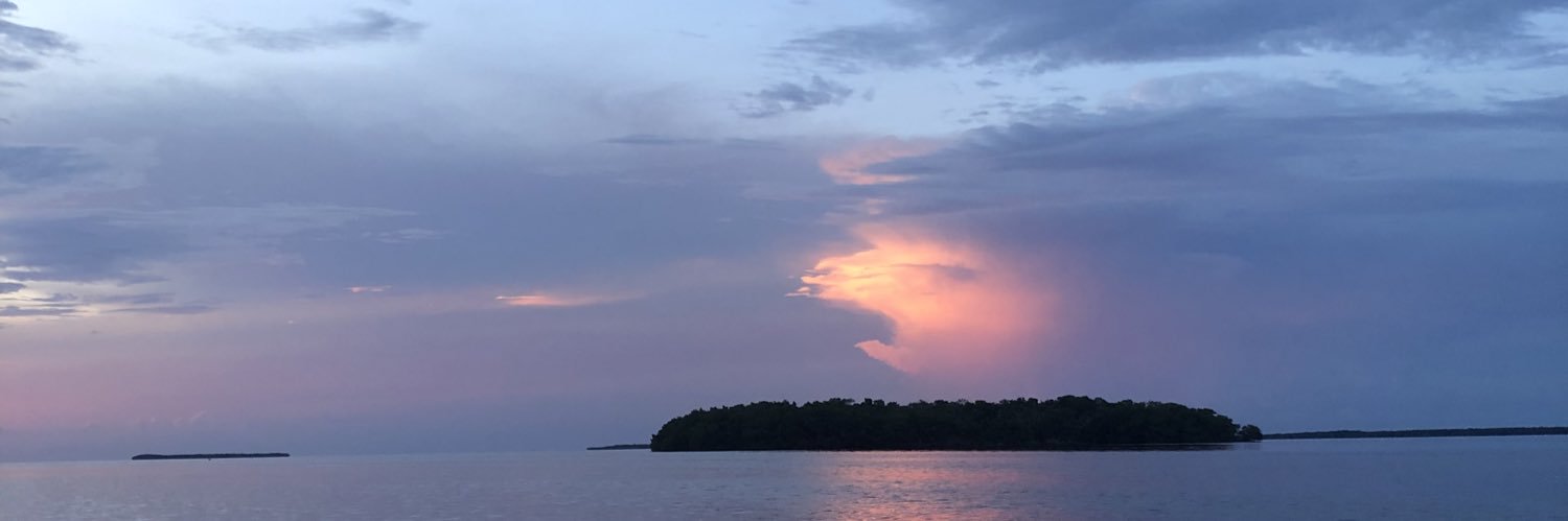 Patrick Oliverio banner