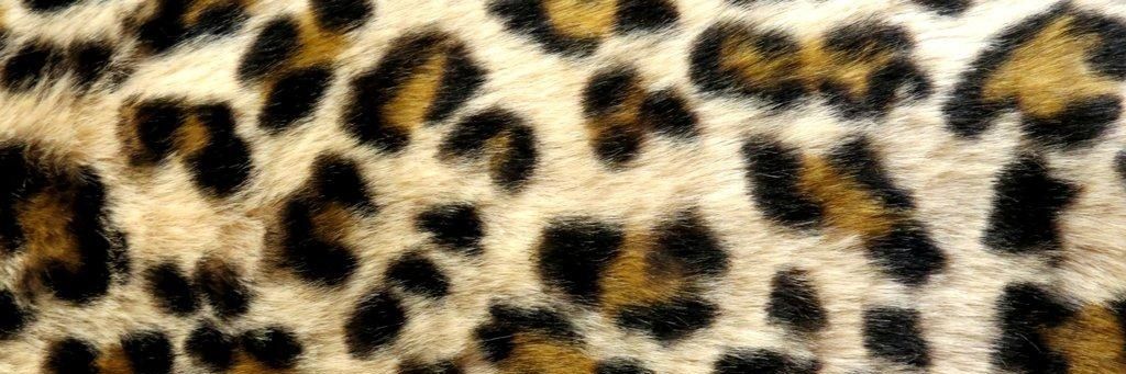 PsychicBalls's profile banner image