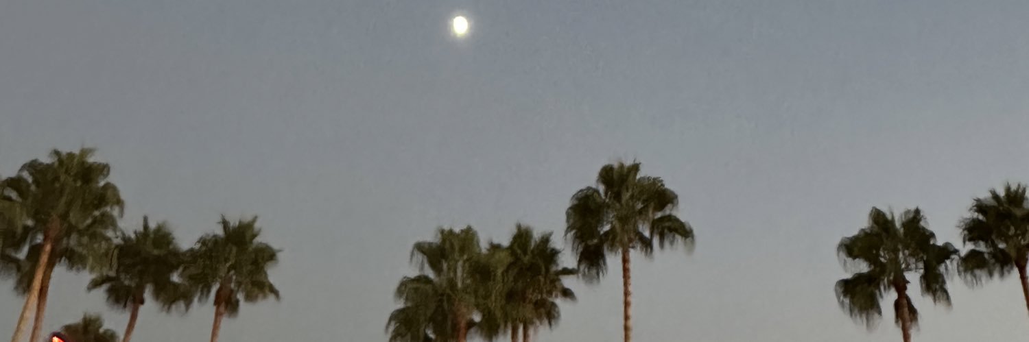 cactuhs's profile banner image