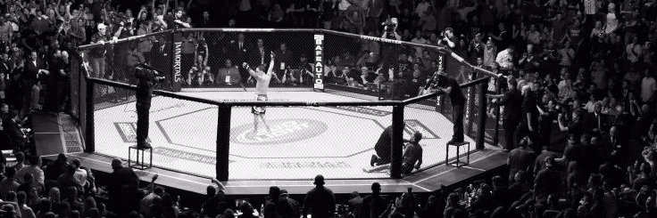 The_Fight_Buzz's profile banner image