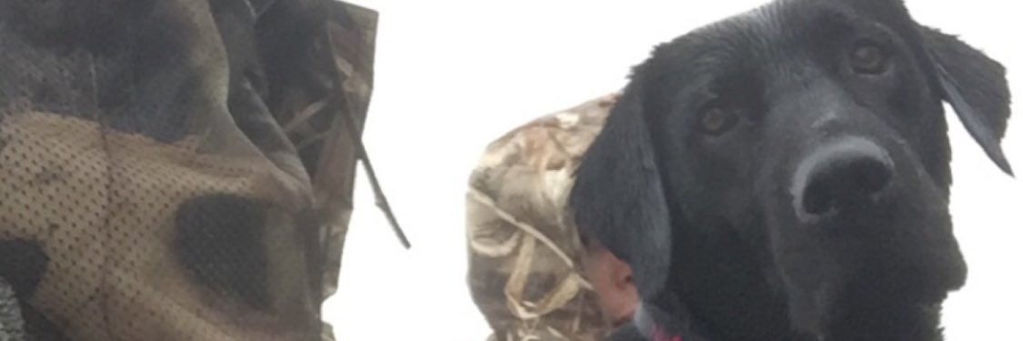 lambert_luke's profile banner image