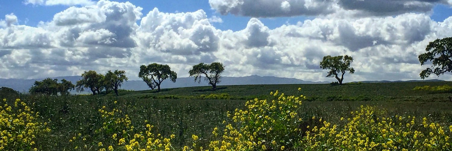 silvafarms's profile banner image