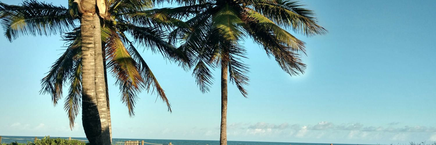 soledadtrifone's profile banner image