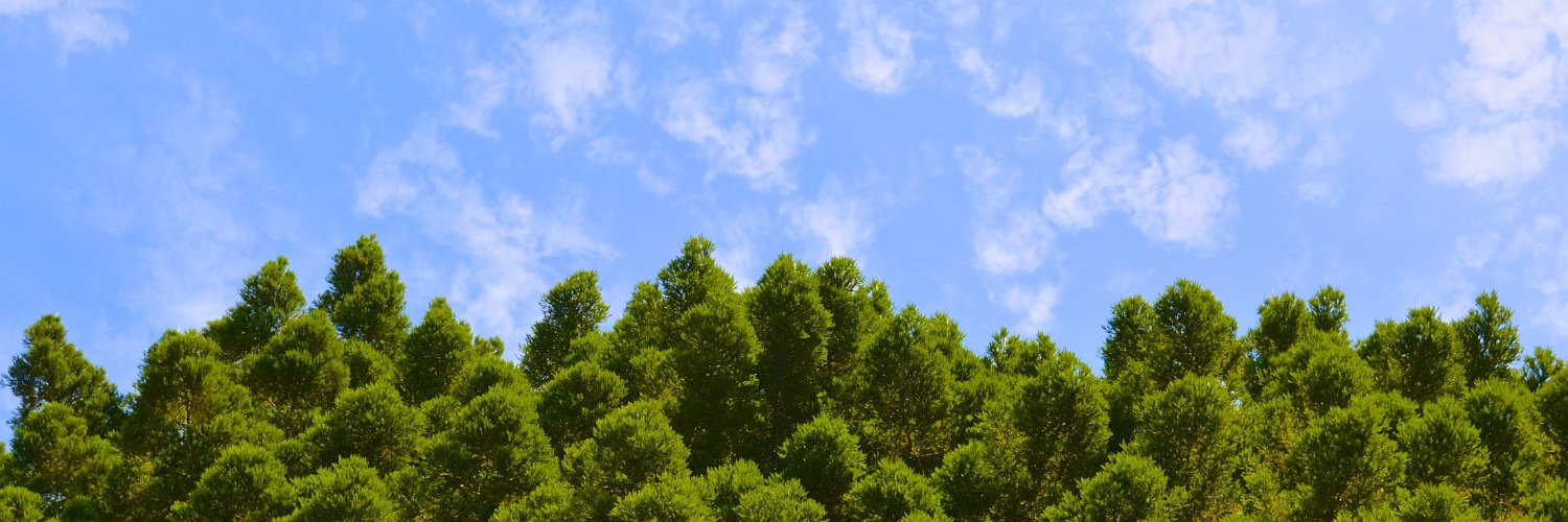 scott beamer (@sbeamer@discuss.systems) banner