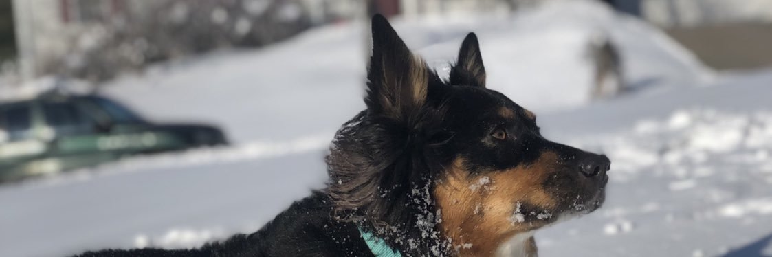 KayelynnT's profile banner image