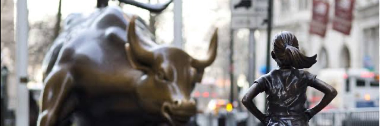 Gina Mauller-Crane banner