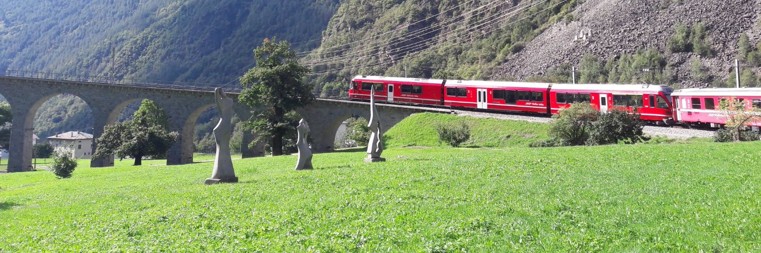 BerninaExpress banner