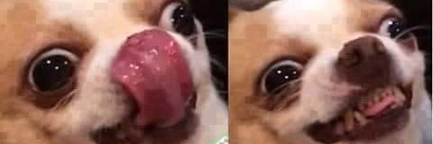 psiucris's profile banner image