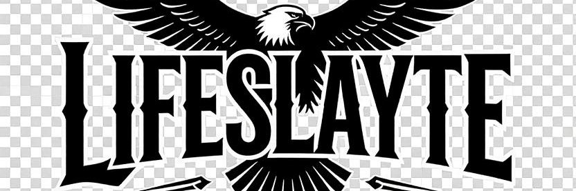 Lifeslayte's profile banner image
