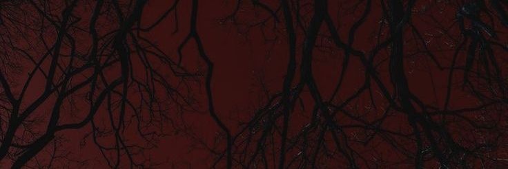 rebecacamps0's profile banner image