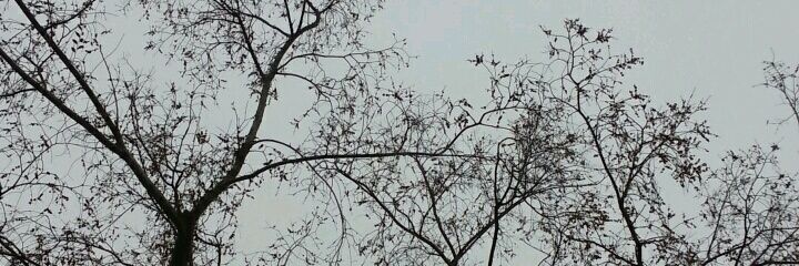 phrea_k314's profile banner image