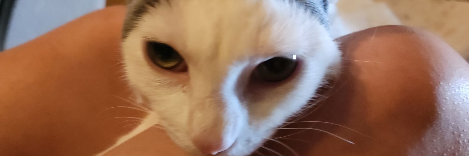 that_1_guy3's profile banner image
