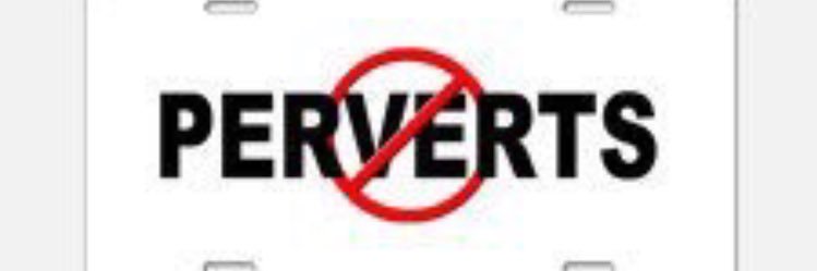 PevertVanPolice's profile banner image