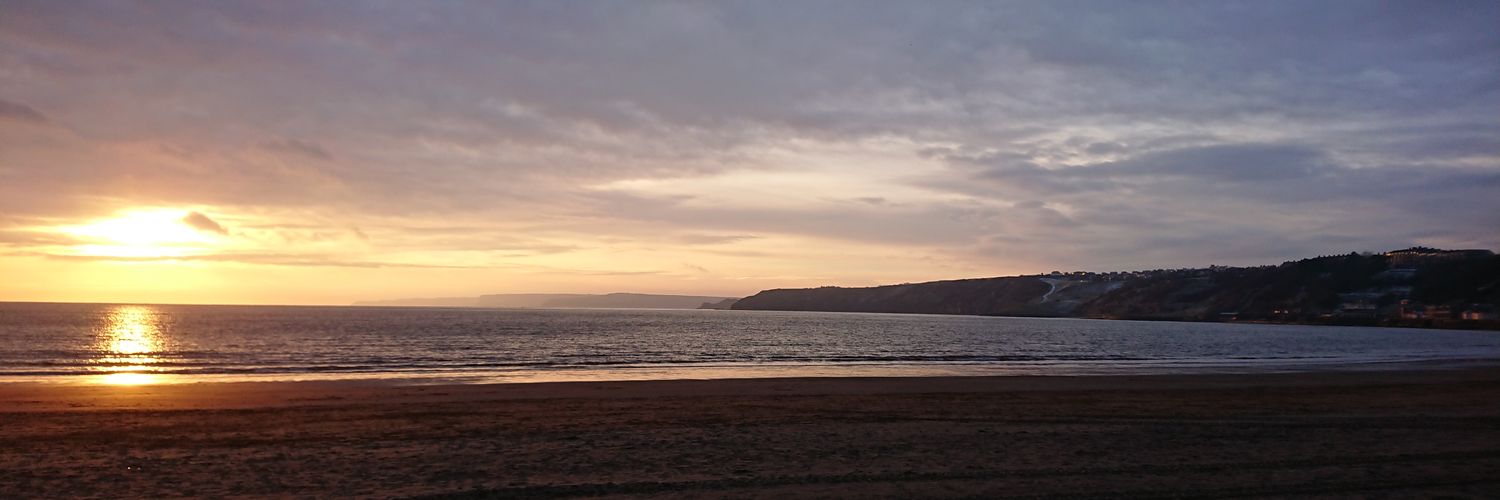 shezllbird's profile banner image