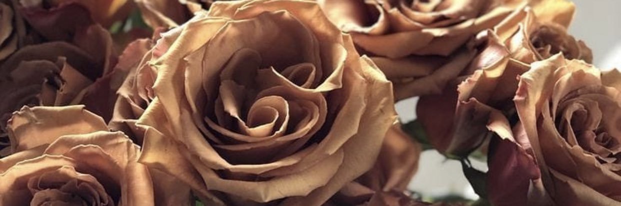 Sarah ♛ Olea banner