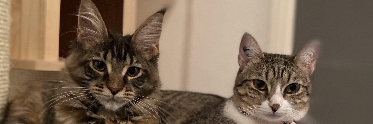best_shuffle's profile banner image