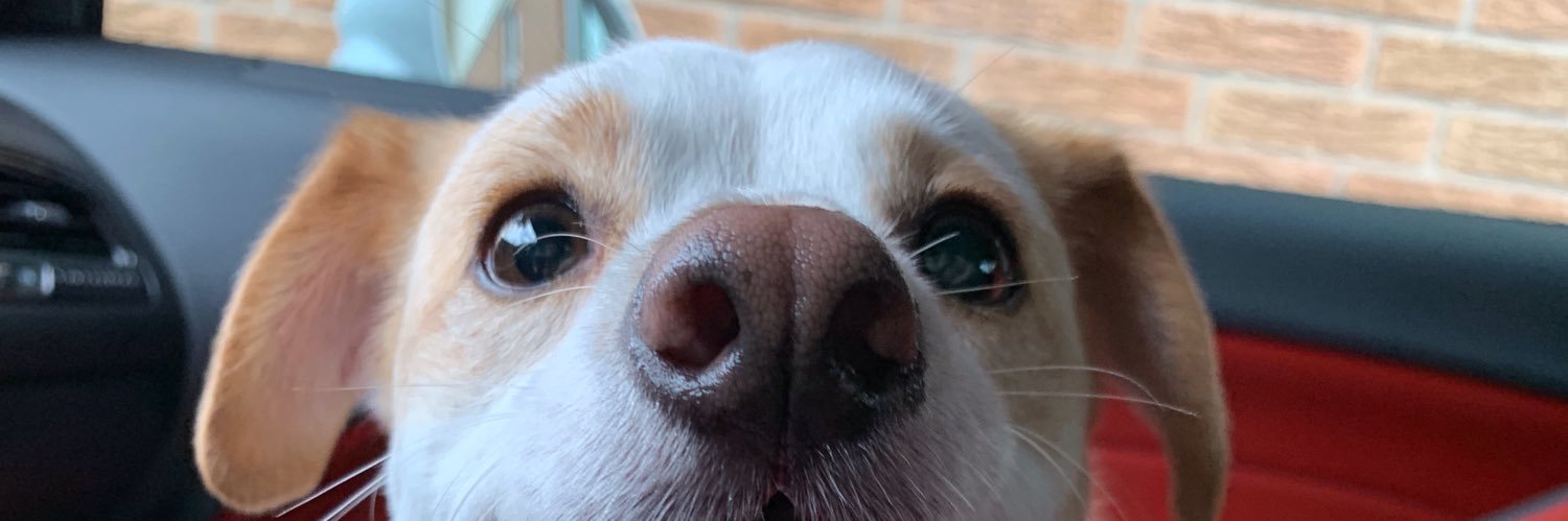 thaohoe's profile banner image