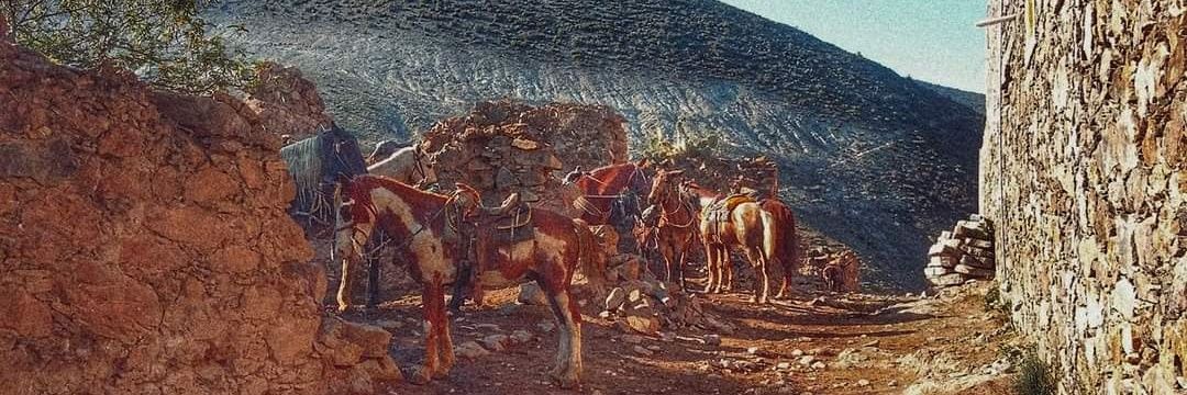 PonchoSanchez_'s profile banner image