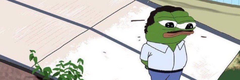 Zoro banner