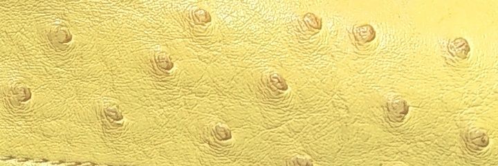 CourtneyCams's profile banner image