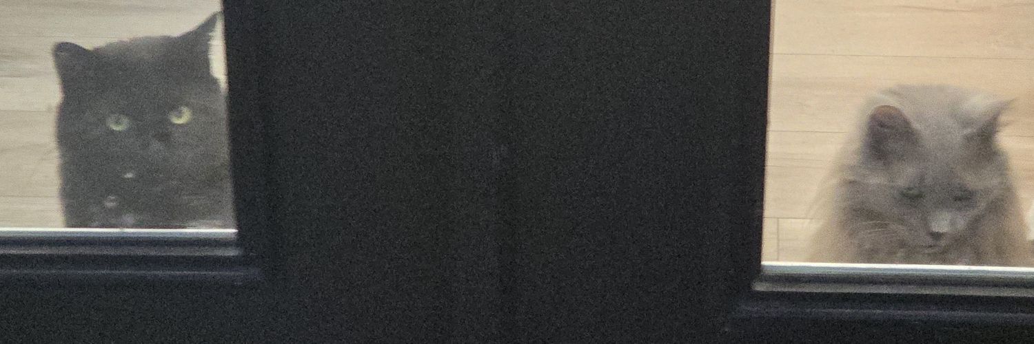 reddingcamacho's profile banner image