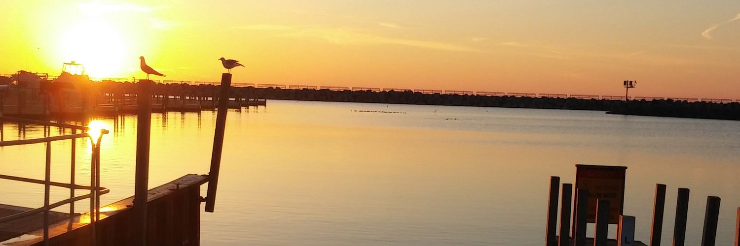 FishLakeHuron's profile banner image