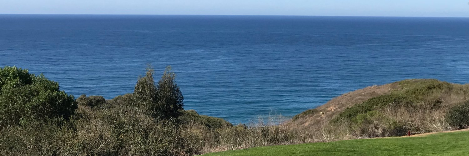 Paco Ramos-Moreno banner