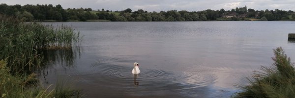 MadMildred Profile Banner