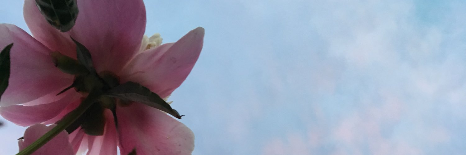_Graf_1203's profile banner image