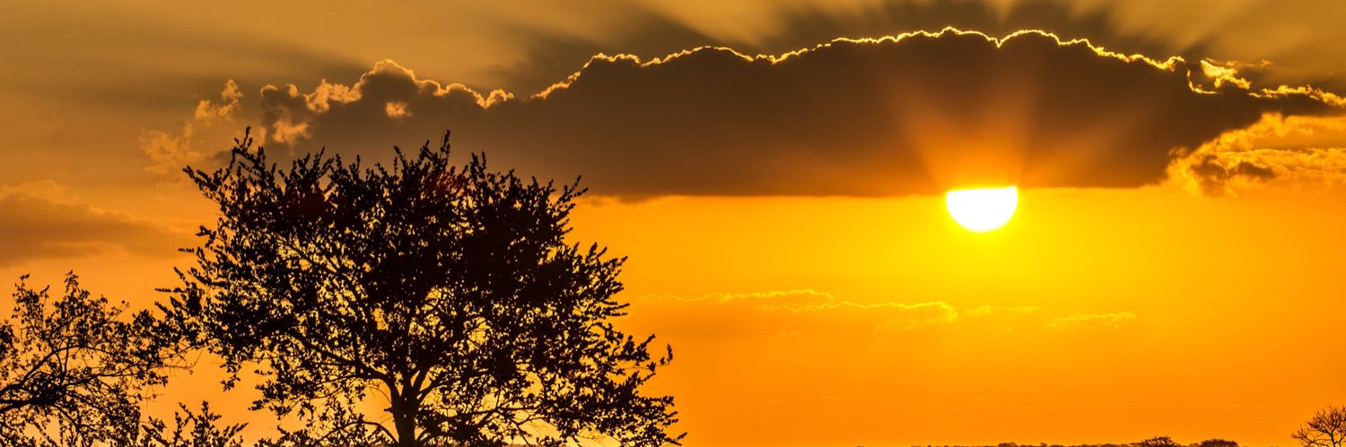 tinyikom1's profile banner image