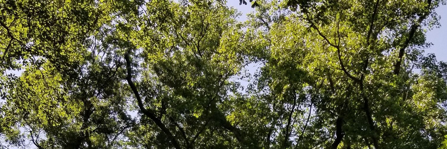 MalhamaMan's profile banner image