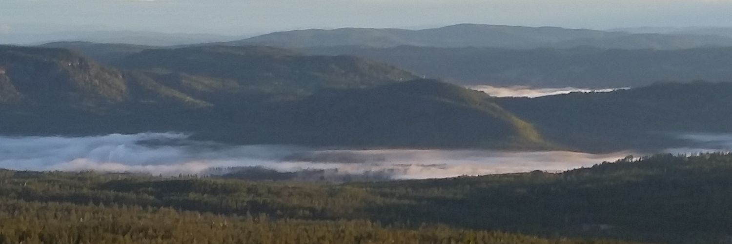 jarlebobben's profile banner image