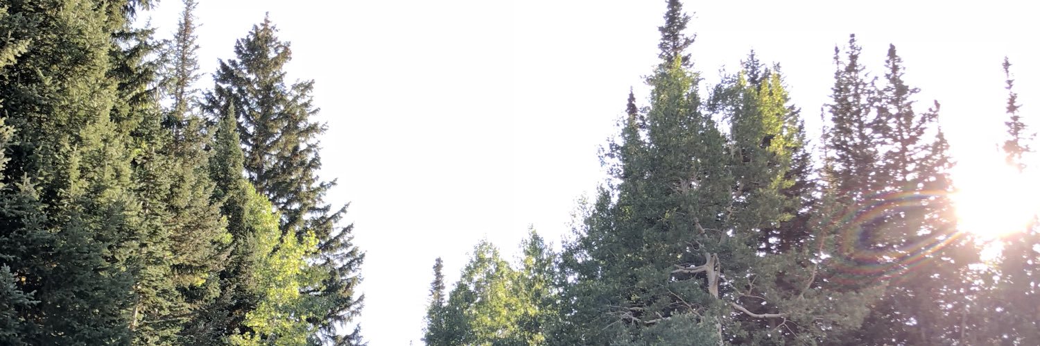 Erik0Evert's profile banner image
