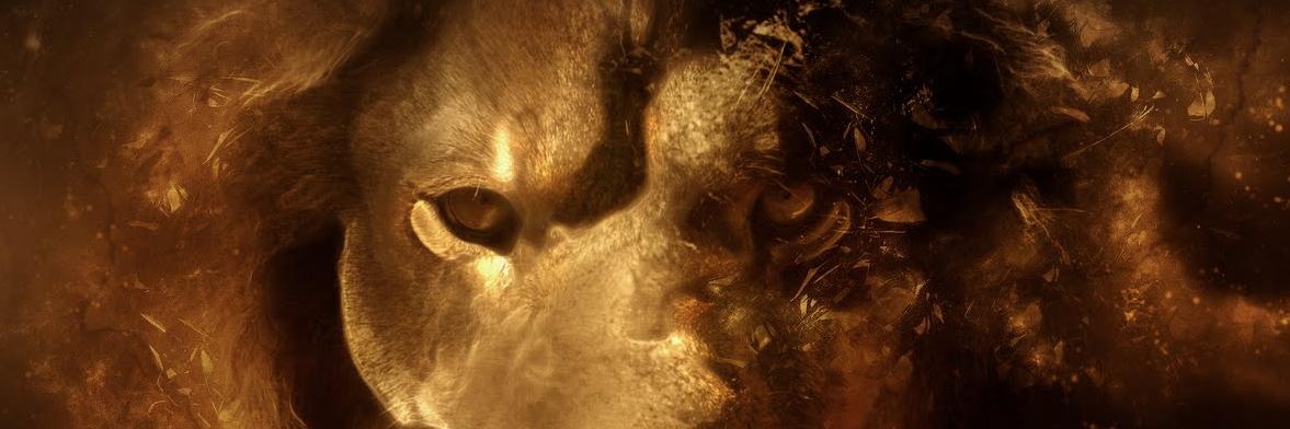 anefra's profile banner image