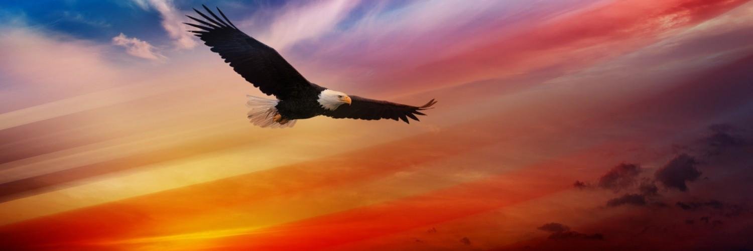 bscapa's profile banner image