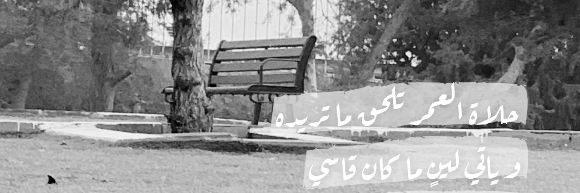 mohammed557277's profile banner image