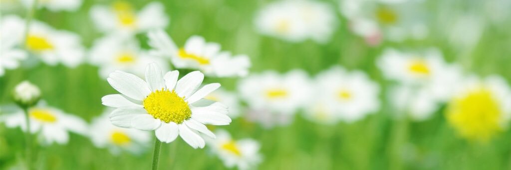 wkm0522's profile banner image