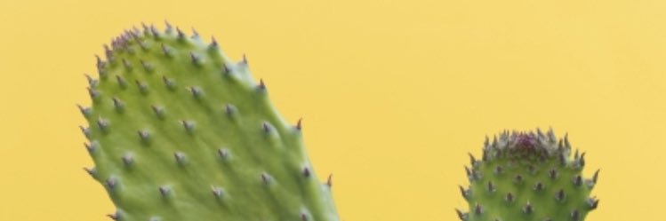 emmiliewhitlock's profile banner image