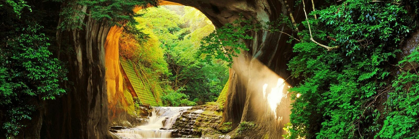 potakonp's profile banner image