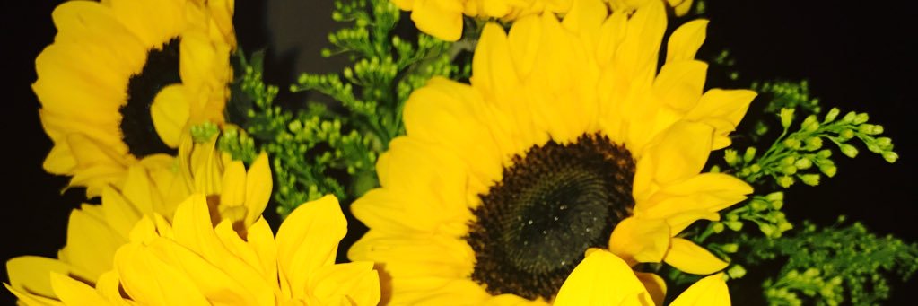 micheleeann_'s profile banner image