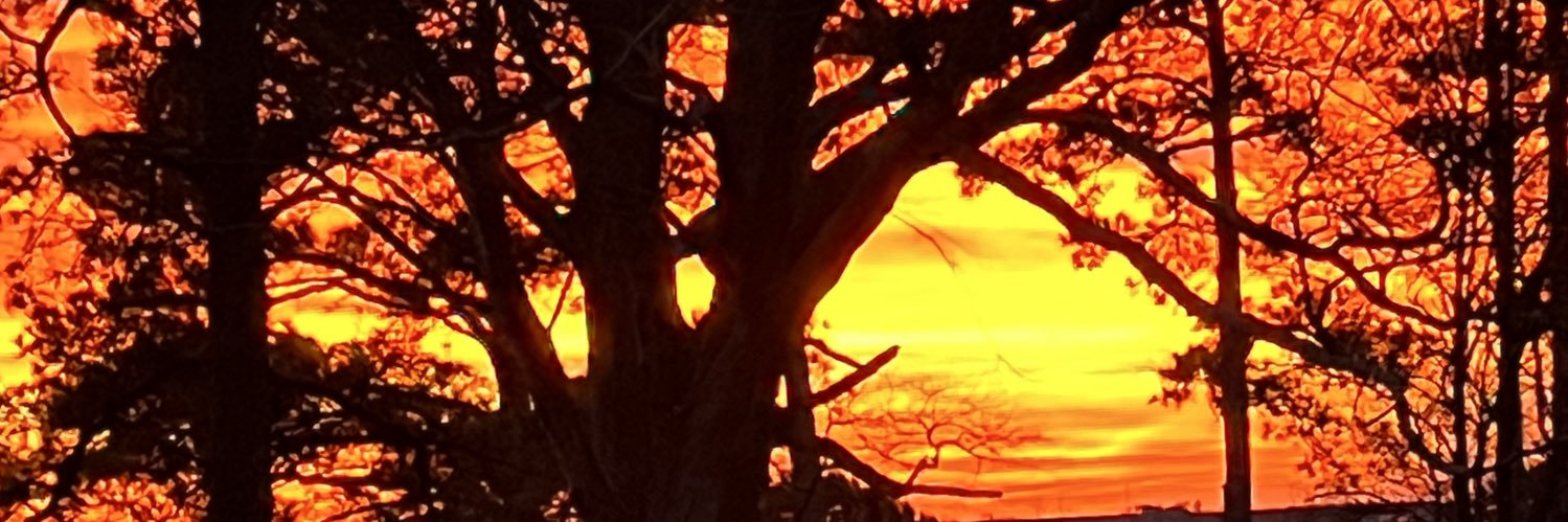 kboldham's profile banner image