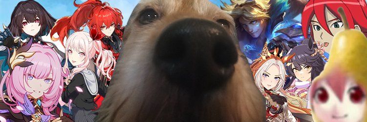 Pika banner