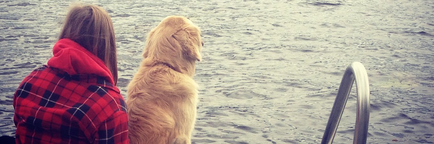 BriShields_'s profile banner image