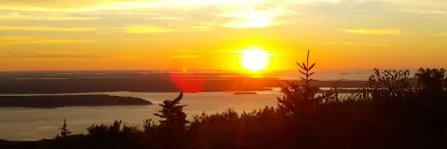 FruitiestCake banner