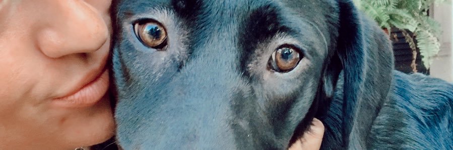 baileysimss's profile banner image