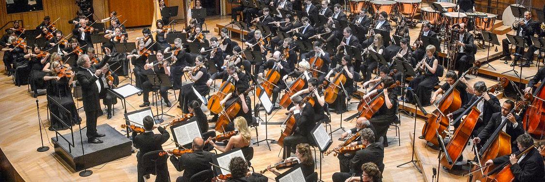 Concerto Budapest banner