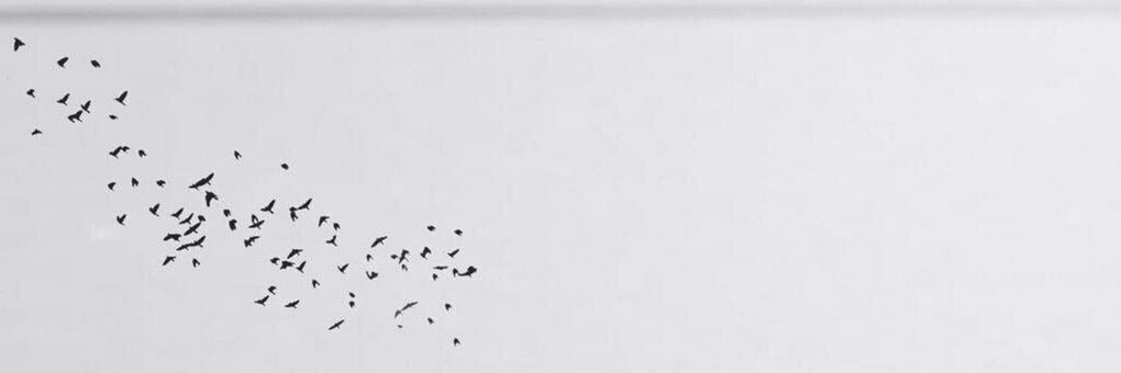 qq751344's profile banner image