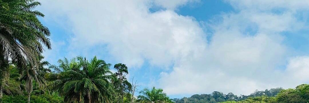 hendry609's profile banner image