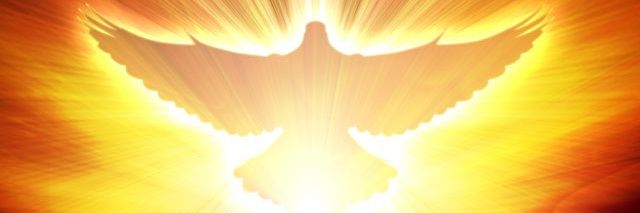 dagotorresf's profile banner image