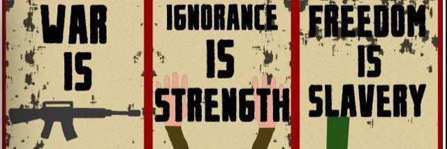 Mathieu Cavada banner